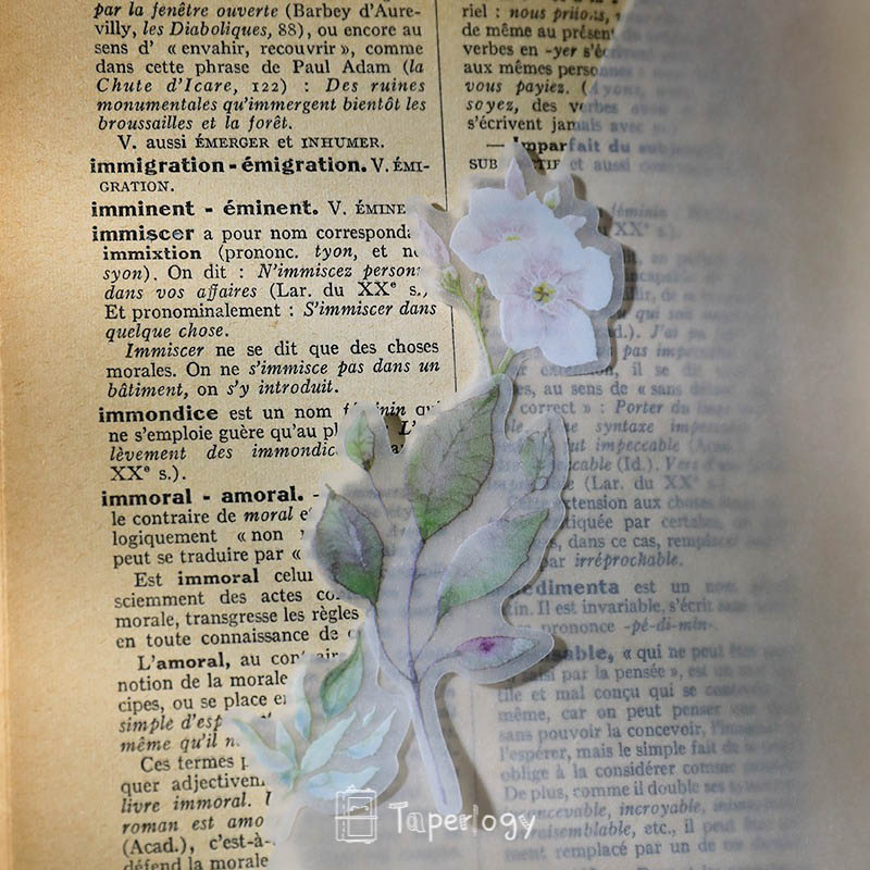 Yuzi Pink Rose Vellum Stickers