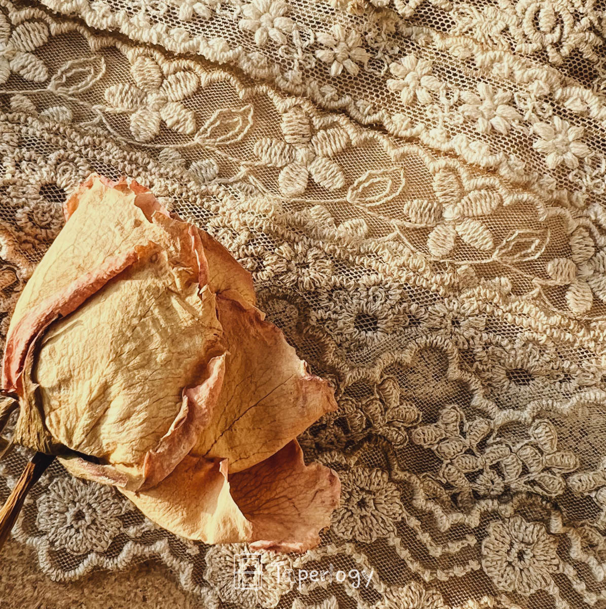 Naica Premium Lace Pack