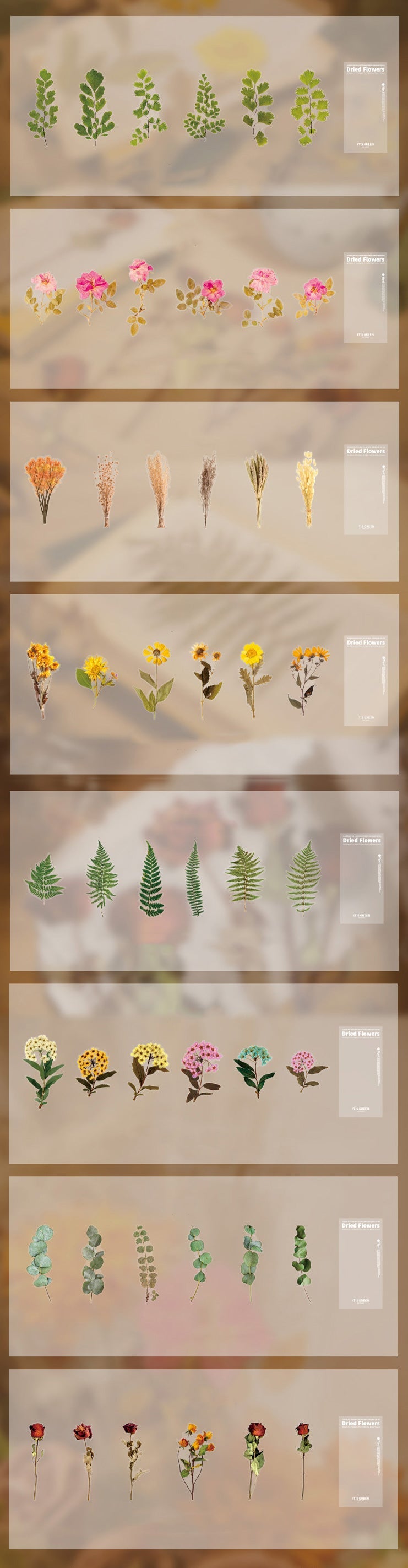 Chado Flower Stickers Set